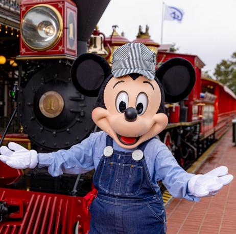 gosti će ponovno moći uživati ​​u putovanju željeznicom Walt Disney World Railroad ove blagdanske sezone u Magic Kraljevstvu Parku u Walt Disney World Resortu u Lake Buena Vista, fla this atrakcija na dan otvorenja vraća se s potpuno osvježenom stazom koja kruži parkom i potpuno novim glasom koji vodi goste dok putuju iz jedne čarobne zemlje u drugu Courtney Kiefer, fotograf