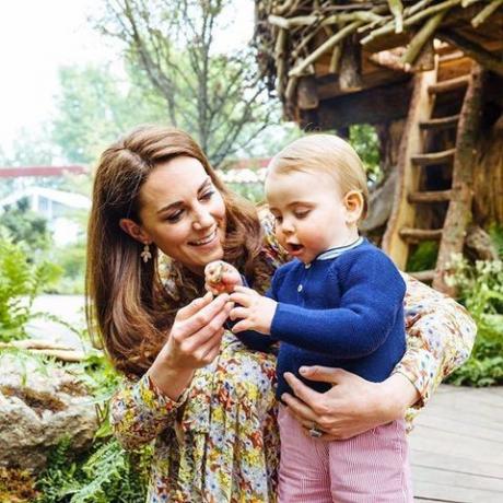 Kate midton omiljeni brendovi - Instagram kate midton & Other priče haljina