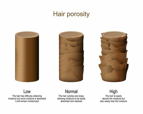poroznost kose niska poteškoća u dobivanju vlage normalno omogućava lako upijanje vlage i zadržava visoka kosa da lako gubi vlagu