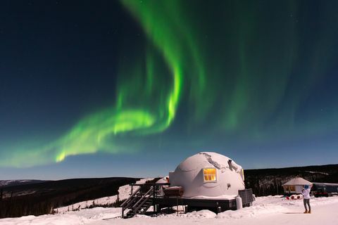 borealis basecamp fairbanks aljaska