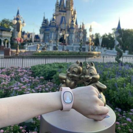 ružičasto-zlatni disneyev magicband plus na zapešću ispred kipa Chipa i Dalea i dvorca Pepeljuge u Walt Disney World Magic Kraljevstvo Park